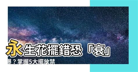 永生花風水化解|【永生花 風水】永生花擺錯恐「衰」爆？掌握5大擺放。